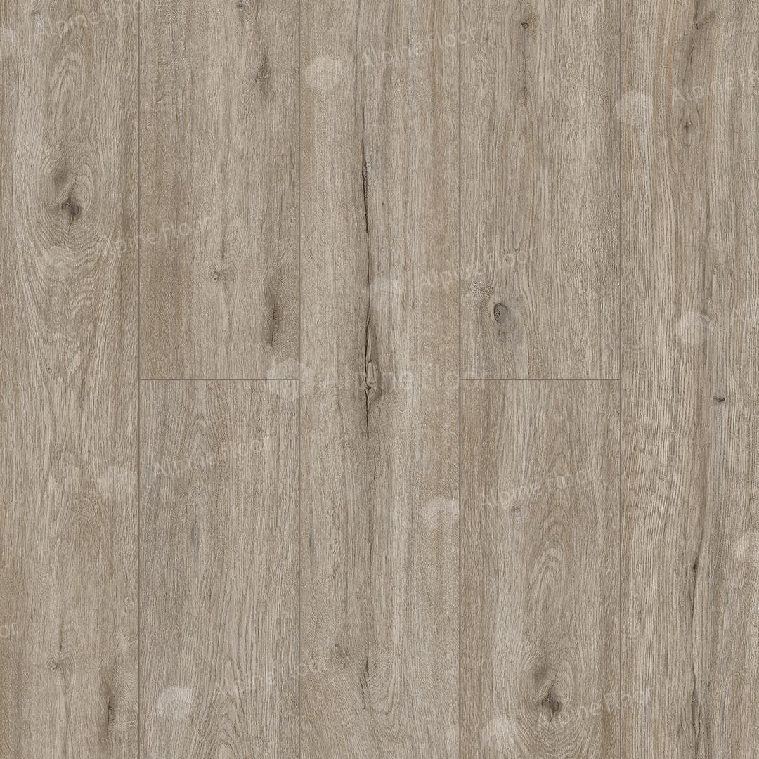 SPC ламинат Alpine Floor Solo Прэсто ЕСО 14-8 1220x183 3,5 мм