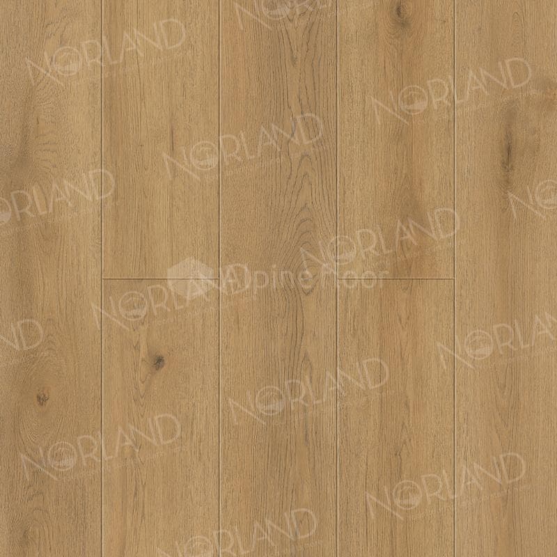 ALPINE FLOOR SIGRID SUPERIOR Greze 1008-13 ABA 1220x183 8 мм