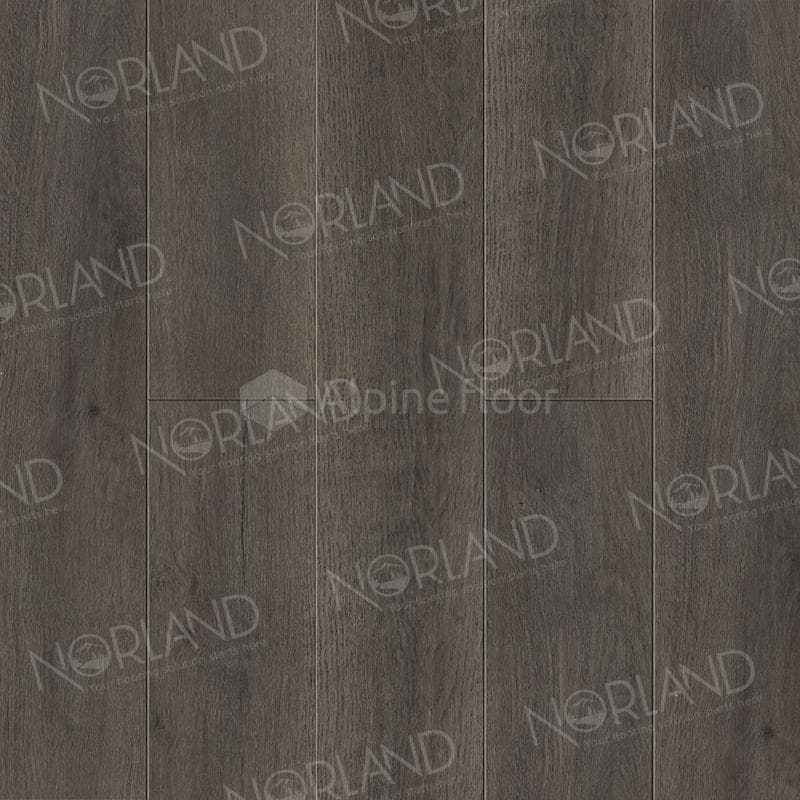 SPC ламинат SIGRID PLUS Norland Baggy 1006-2 1220x183 4 мм