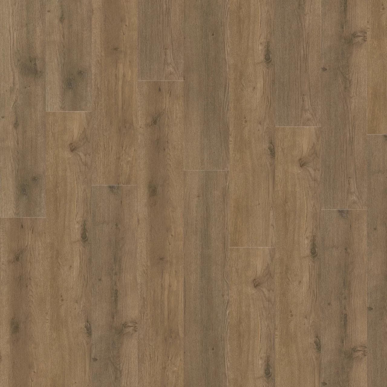 SPC ламинат Adelar Eterna Acoustic MAJOR OAK 05855 181x1220 6 мм